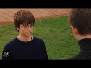 Harry Potter and the Sorcerer's Stone (2001) - Harry's Quidditch Lesson