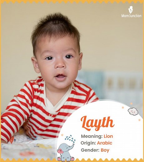 Layth Name Meaning, Origin, History, And Popularity