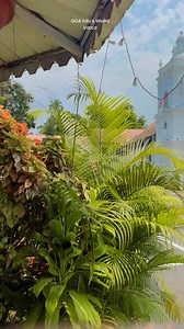 31K views · 785 reactions | Our Lady of Gloria Church Varca South Goa. #goadiaries #goavibes #SouthGoa #goabeach #goachurch | GOA - Edu's World | Facebook