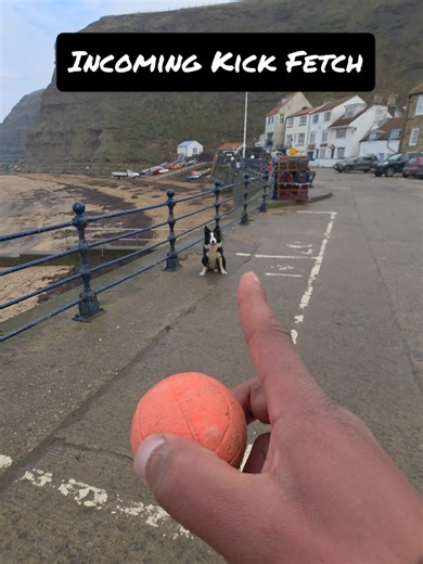 Kick Fetch