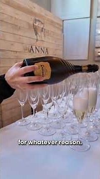 Tour of the largest cava house in Spain - Caves Codorniu