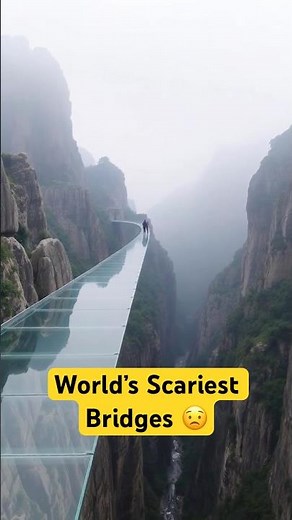 World's Scariest Bridges You Must Cross! 🌉