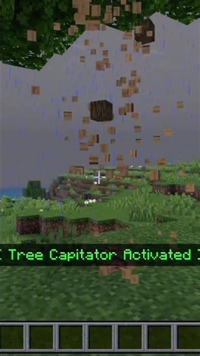 Relaxing Rain & Tree mining, check out this tree capitator tool!! Comment MOD for the add on 💚