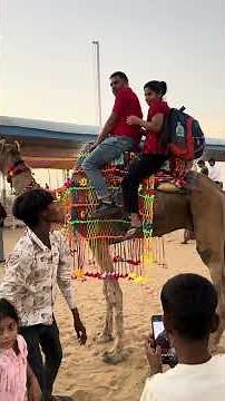 Camel Ride in Pushkar Fair 🐪 | One-Minute Desert Vibes | #WalkIndia #PushkarMela