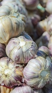 3 comments | Remember this simple garlic planting guide 龍 and you’ll...