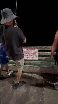 Full Video Raw & Uncut, #shark #hammerheadshark #portaransastexas