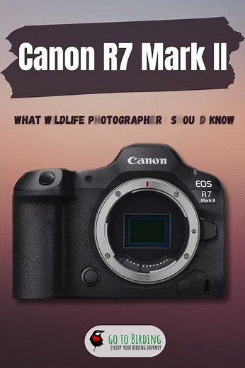 Canon EOS R7 Mark II – What Birders and Wildlife Photographers Should Know