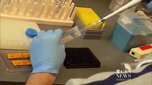 Breakthrough - Human Stem Cells Altered to Make Insulin! Researchers at Harvard say they were able to produce cells that make insulin from embryonic stem cells, which could be a major breakthrough in the treatment of diabetes. | Bioengineering