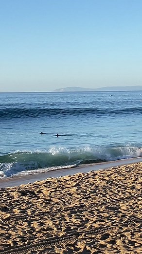 Would you surf this wave? #fyp #foryou #waves #surf #surfing #ocean #beach #firing #swell #insane #vibes #summer #wedge #surftok #shorebreak