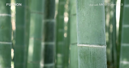 富士发布全新全幅电影镜头 最新官方宣传视频FUJINON MK Lens - Image movie : FUJIFILM.