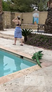 3.6M views · 31K reactions | Alligator prank! This original video was produced by Network Media and Big Al and Friends | Comedy Tomorrow Tragedy Tonight | Facebook