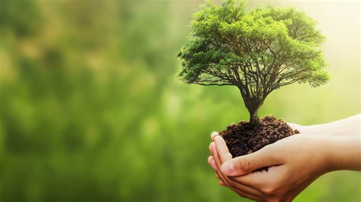 The history of Earth Day