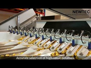 Newtec Optical Sorting Machine, Model Celox- P-UHD, - Size: 20-28 mm. square mask