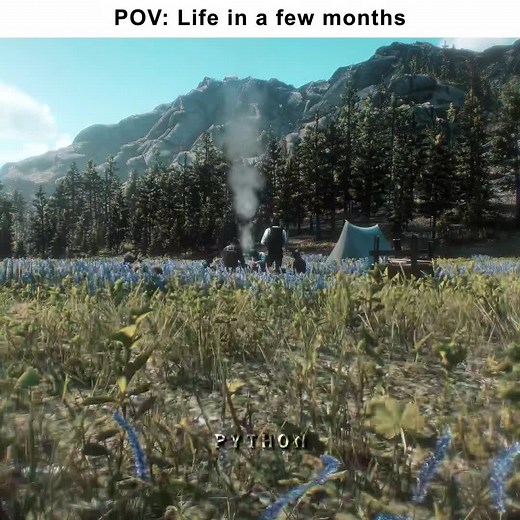 Understanding Change in Red Dead Redemption 2