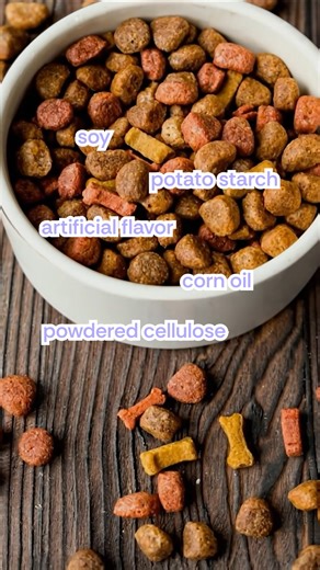 “Doing everything right” but not seeing results? 👀 Here’s the hidden truth: most soft chews tablets are packed with fillers that do nothing for your dog’s health and can even trigger digestion inflammation issues. That’s why Plentum is a filler-free powder with a science-backed pre postbiotic blend so more of what you scoop actually works in your dog’s gut. 🐶✨ 💚 Better digestibility 💚 No junk fillers 💚 Real support for gut, immunity & overall wellness Switch what’s in the bowl, not just the