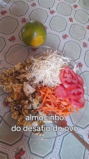 Desafio do Ovo: Último Dia de Cuidado Borah