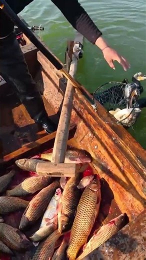 How Birds and Fishermen Work Together to Catch Everything #teamwork #fishing