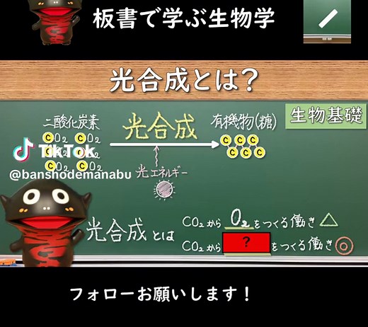 光合成のプロセスと重要性について