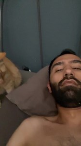 410K views · 10K reactions | Kermit’s gentle meows for breakfast, are the perfect wake-up call for a purrfect day ahead 殺 #catdad #mekermitmeow #catlovers #catsoffacebook #orangecat #caturday | Javie and Mr. Kermit | Facebook