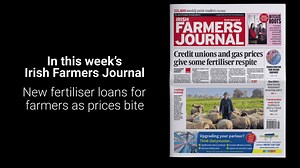 Inside this week's Irish Farmers Journal: *We exclusively reveal how credit unions and merchants are joining forces to offer new loans to farmers. *We examine How Farm Building Costs Will Change in 2022. *PLUS, We have details of thousands of new farm apprenticeships. On sale now! | Irish Farmers Journal | Facebook