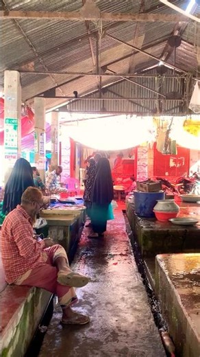 Morning Fish Market | Fresh Fish & Local Life | Fresh Fish Market in the Morning | Daily Market Life