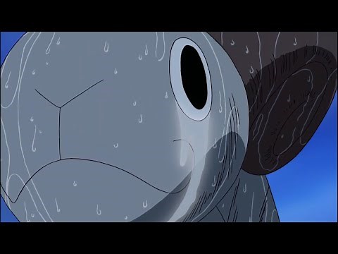 The day when Going Merry Cried | Emotional one piece moment