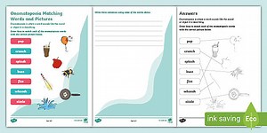Onomatopoeia Matching Word and Picture Activity