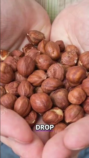 Hazelnut Harvest: From Tree to Table, a Delicious Journey! #shorts