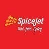 Spicejet  Pilot  Salaries by 10  Employees (Updated 2025)