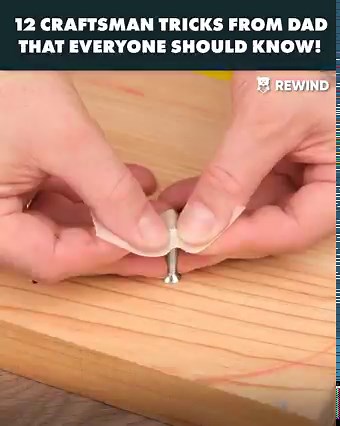 Such helpful tricks!😄 | Animals & More