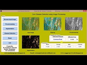Corn Disease Detection using image processing matlab project with Source code