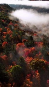 Outdoor adventure. Breathtaking scenery. Lifetime memories. Book your stay at Emerson Resort & Spa today. ⛰️   : #Seekforyourself #UlsterCounty #MountTremper #HudsonValley | Ulster County Tourism, NY | Facebook