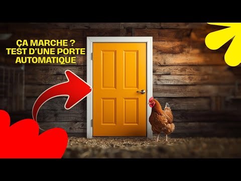 Cette porte automatique pour poules vaut-elle vraiment le coup ? (test AliExpress)