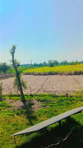 kahoot (@kahoot1740)’s videos with original sound - 𝘿𝙚𝙚𝙥 😇💚