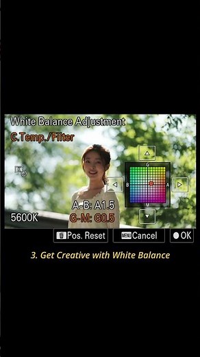 Alpha 7C II | Define Your Style with Customised Creative Look Presets