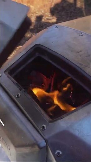 Wild Foraged Chickweed Pesto Pizza. Bushcraft cooking.