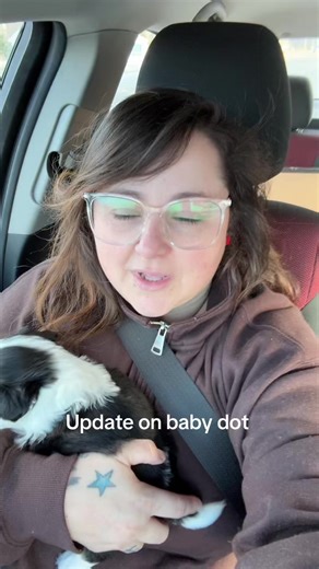 Update on Baby Dot: Our Journey with a Blind Dog