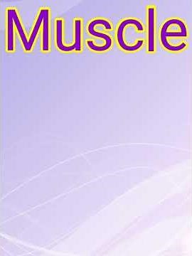 Muscle meaning in hindi with photo मीनिंग इन हिंदी फोटो के साथ उच्चारण करना सीखें