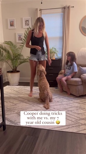Teaching your dog a trick and then showing your kid (or little cousin in this instance) how to do it with them is a great way to build a bond between the two of them! Trick training and obedience commands are awesome tools to build trust and confidence from your dog towards new people. Trainer: Morgan Strack Dog: Cooper #dogtraining #balanceddogtraining #positivereinforcement #dogtips #dogobedience