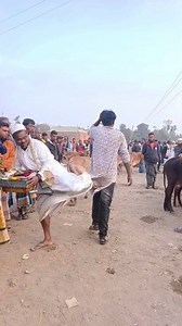 🤣🤣 #viralreelsシ #reelsvideo #jamaltv #funnyvideo #jamal #viralvideoシ #reelsfypシ #fbviral #funnyvideos #shortvideo | Jamal tv