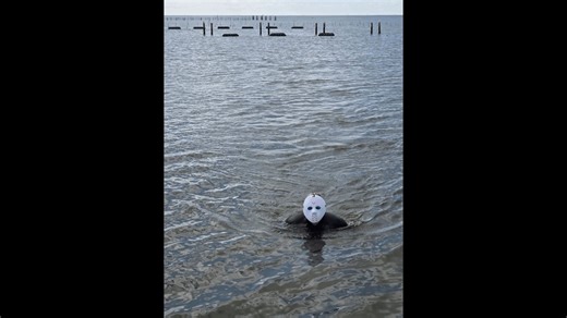 Had a visitor this week on the farm... Happy Halloween! 👻🎃🦇 | Auburn University Shellfish Lab