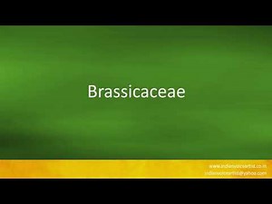 Pronunciation of the word(s) "Brassicaceae".