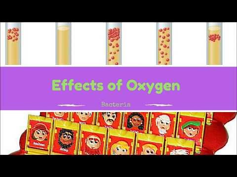 Effects of Oxygen on Bacteria: Microbiology