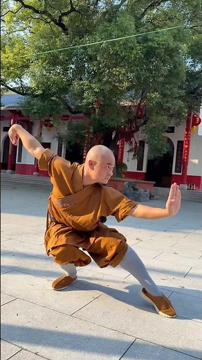The Five Stance Form (Wu Bu Quan) | Shaolin Kung Fu Basics