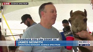 15K views · 176 reactions | WATCH: Gloria the Camel steals the show from John!  | KCBD NewsChannel 11 | Facebook