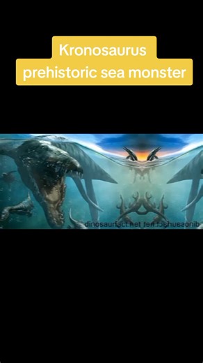 fun facts trên TikTok