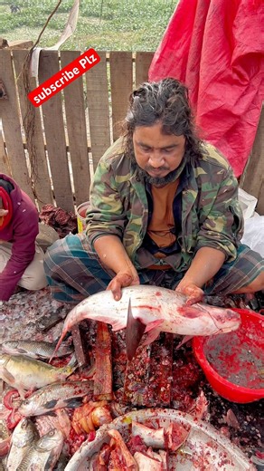 Amezig village fish fish and Pangas fish cutting ✅🐬✅ #shorts