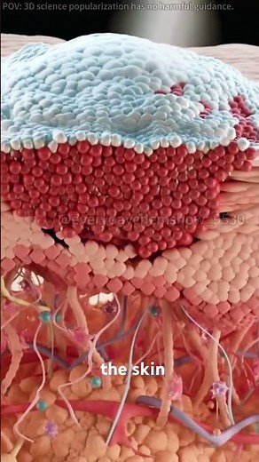 Cryotherapy for mole removal(3D animation)#moles #dermatology #dermatologist #medical3danimation