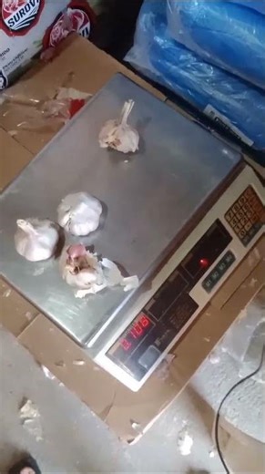 09 Temponaut Time-lapse Alho 🧄