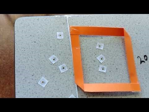 GCSE Biology Line Transect Practical Demo